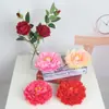 Simulado No. 9 Flores de Peonía con Estambres, Fondo de Boda, Pared de Flores, Arreglo Floral para Guía de Camino, Suministro Transfronterizo de Flores de Peonía de Seda