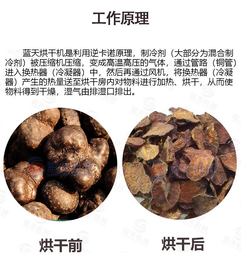 详情20盘_05.jpg