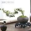 Junho Neve Bonsai Penhasco Flor Vermelha Mesa de Chá Zen Interior Peitoril de Janela Planta Verde Pequena Mesa de Centro de Escritório Planta de Vaso de Mesa