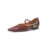 Zapatos Mary Jane de Punta de Piel de Oveja Suave 2025 Primavera Tacón Bajo Grueso Hebilla Metálica Zapatos de Suela Suave Completamente de Cuero para Mujer