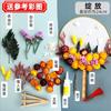 Paquete de materiales DIY Tuanfan 38º Tuanjian Estilo Nacional Estilo Chino Flor Seca Abanico Redondo Hecho a Mano Abanico de Flor Eterna en Blanco