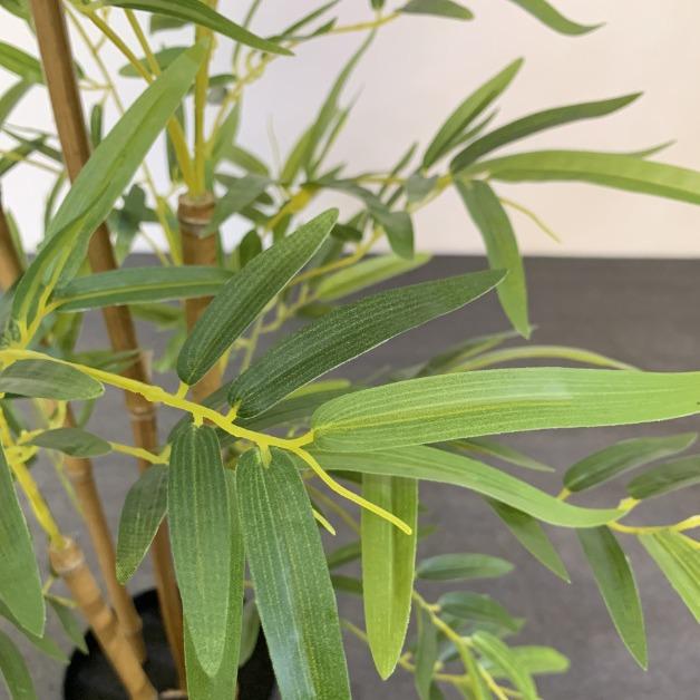 2024-09-18 17:45:24.jpg