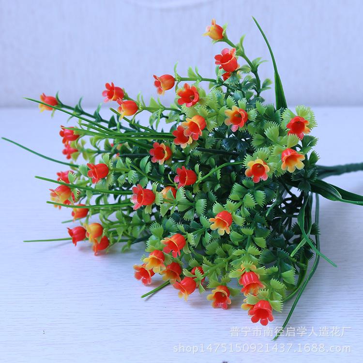 IMG_3968.png