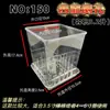 Plástico transparente especial para visualização de raízes de Phalaenopsis vaso de flor simples quadrado respirável adequado para sala de estar peitoril interno