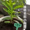 Etiqueta de tarjeta para insertar en jardinería escritura infantil etiqueta de nombre de planta etiqueta pequeña etiqueta de nombre de flor etiqueta de cuerda colgante para suculentas