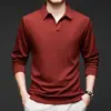 Exportación transfronteriza, Camisa polo para hombre con cuello de gaviota, adecuada para primavera y otoño, casual y versátil, una camiseta de hombre de alta gama