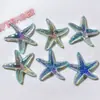 Acrílico accesorios DIY accesorios zapatos flor material hecho a mano papelería clip parche plateado aurora brillo estrella de mar
