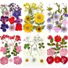 Paquete de Hojas de Flores Secas DIY Cristal Epoxi Paquete de Materiales de Flores Hechos a Mano Pegatinas de Flores Prensadas Materiales Plantas Decorativas Muestras Fotografía