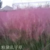 180 Variedades de Sementes de Flores Não Repetitivas, Fáceis de Cultivar em Todas as Estações, Podem Afastar Mosquitos, Adequadas para Varandas Internas e Externas, Distribuição Transfronteiriça