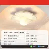 Luz de Corredor, Luz de Corredor, Luz de Entrada para Varanda de Flores em Estilo Creme, Luz de Teto Criativa Moderna Simples para Closets