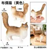 Juguete de simulación cognitiva para niños, modelo sólido de animal Gato, traje Gato Gato Amarillo Gato de cola corta Gato blanco y negro Gatito Adornos