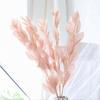 Material de Flor Eterna Folha de Laranjeira Fresca Eterna Flor Seca Festival da Primavera Arte Decoração de Casa Arranjo de Flores Buquê de Flores Yunnan Fábrica Atacado