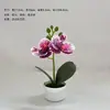 Adornos Creativos de Orquídea Phalaenopsis en Maceta, Productos Domésticos de Moda, Flores Simuladas, Películas Ecológicas, Plantas Verdes, Plantas en Maceta, Flores Artificiales al por Mayor