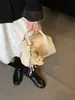 Venta al por mayor transfronteriza Bolsos coreanos de nicho 2026 Nuevas llegadas Hermosos bolsos de mano de nicho Bolsos cruzados simples con forma de concha Primavera y Verano