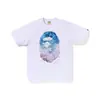 Comercio exterior al por mayor transfronterizo marca de tendencia estilo japonés camuflaje tiburón, cabeza de tigre, hombre mono bloques de color manga corta unisex holgada T-shirt estampada