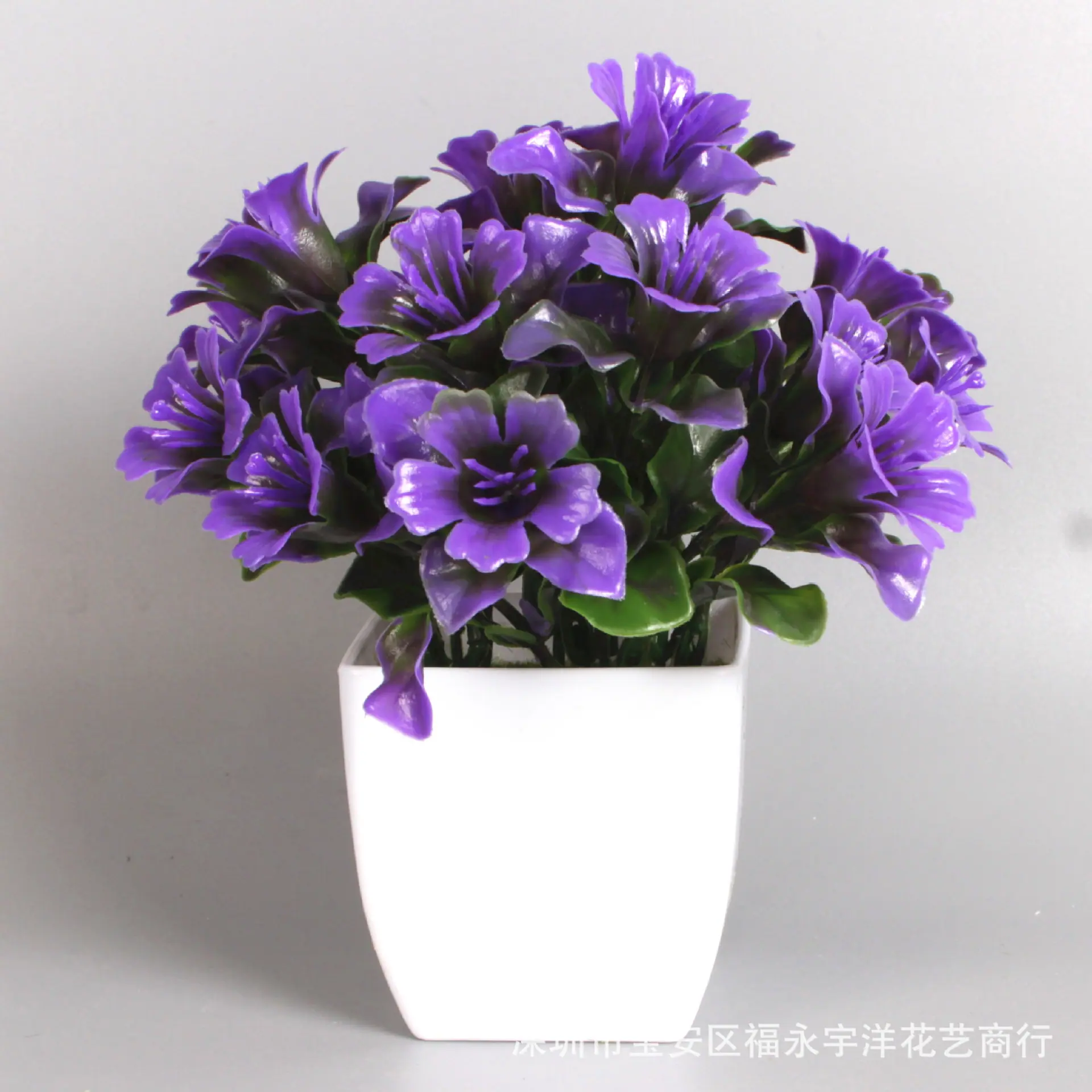 IMG_0821_副本.jpg