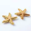 Suministro Directo Ropa Aleación de Zinc Estilo Marino Pin Parte Frontal del Pecho del Traje de Baño Broche de Neptuno Bikini Decoración Estrellas de Mar Estéreo