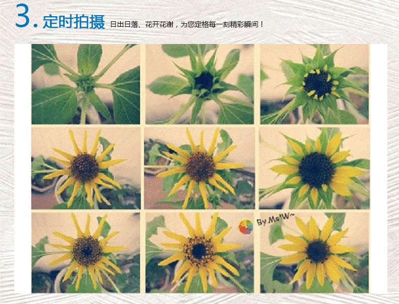 292中午详情页--180529_08