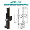 Lwx60 Cremallera de Engranajes de Carrera Larga Deslizador de Ajuste Fino Canal de Cola de Cola Eje X/Z Soporte de Cámara Deslizador para Máquina de Cribado CCD