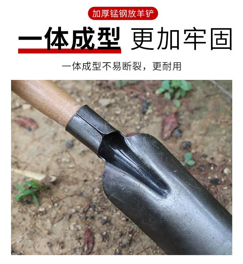 详情_08.jpg