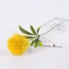 Ramo de Diente de León Estilo Bosque Materiales Hechos a Mano Bricolaje Decoración para Sala de Estar Flores de Plástico Flores Artificiales Accesorios para Fotografía