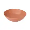 Tazón de Arroz de Paja de Trigo Hogareño de Plástico Irregular Tazón de Arroz Tazón Fragante de Trigo Tazón de Plástico Resistente a Caídas Venta al por Mayor Transfronteriza