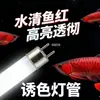 Lámpara Especial T5 Color Rojo Dragón para Acuarios, Lámpara de Iluminación para Peces Loro Sangre, Iluminación Tricolor para Acuarios