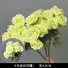 Plantas Verdes, Hierba de Junco, Hierba Bigote de Dragón, Fondo de Boda, Paisajismo de Ventana Floral, Flores Decorativas para Boda en Bosque Blanco y Verde
