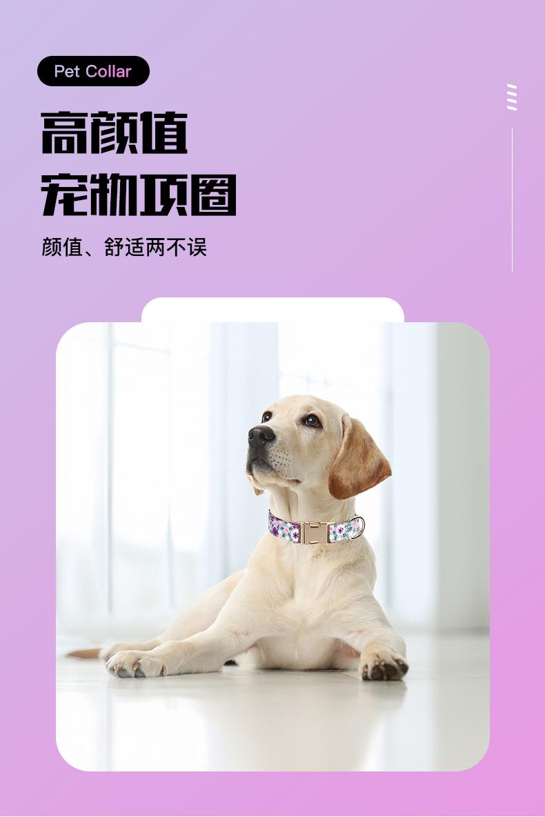 详情页 (5)