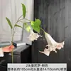 Flores artificiais, 2 cabeças de flores trombeta Mandala de PU, para salões de casamento, paisagismo externo e decoração de casa