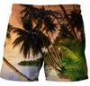 Estilo Novo de Verão Transfronteiriço Xiaohai Periféricos de Anime Shorts Casuais 3D Masculinos