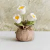 Bolsa de la Suerte Tejida a Crochet Hecha a Mano Transfronteriza Plantas Pequeñas en Maceta Muebles para el Hogar Decoración de Rosa Tejida de Lana Plantas en Maceta Flor Simulada