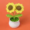 Girasol de Lana Transfronterizo en Maceta Flor de Lirio del Valle Nomeolvides Tulipán Adorno de Flor Artificial Temporada Escolar Regalo para Maestro