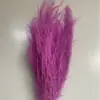 Pasto barba de dragón flor eterna pasto de ensueño pasto pluma accesorios caja de regalo venta al por mayor flores y materiales DIY suministros para florería
