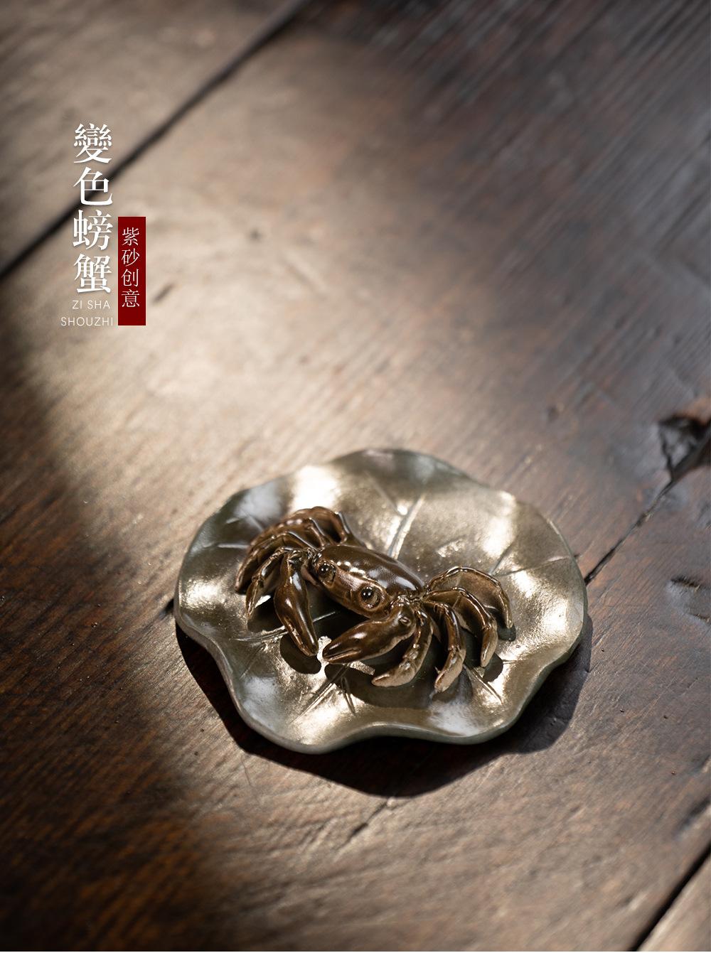 变色螃蟹20230516 (31).jpg