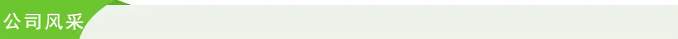 公司风采