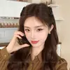 Peine de Alto Volumen para Mujeres, Peine Invertido para Flequillo Lateral, Pasador Elegante y de Moda para Volumen Craneal Alto, Accesorio para el Cabello