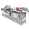 Máquina Limpiadora de Riñones de Alta Capacidad, Equipo de Limpieza para Barbacoa Estilo Coreano, Equipo de Trituración de Piñas y Eliminación de Impurezas de Gran Capacidad en Stock