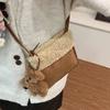 Bolsa de Pelúcia Lã de Cordeiro Maillard para Mulheres 2026 Nova Outono e Inverno Bolsa Pequena Peluda Transversal para Celular