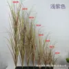 Plantas Verdes Artificiales, Juncia de Tallo Único, Césped de Cebolla Artificial para Paisajismo, Papiros Artificiales, Flores Artificiales, Arreglos Florales Estilo Pastoral, Accesorios para Fotografía