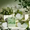 Pastillas de yeso para aromaterapia, piedras difusoras colgantes, ambientador sólido para el hogar, fragancia duradera, regalo de aroma de alta gama
