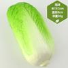 Adereços de educação infantil por atacado, adereços de estúdio para filmagem, enfeites de janela, repolho falso, rabanete, modelo de vegetal falso, simulação de vegetais