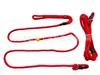 Fabricante Producción Bandas para Mascotas Venta Directa Correa para Perro de Nylon Collar Fábrica Venta al por Mayor Anillo de Cadena para Mascotas Cadena de Nylon para Mascotas