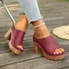 Sandalias de Verano 2026 Comercio Exterior Talla Grande de una Sola Tira Tacón Grueso Suela Gruesa que Aumenta la Altura Boca de Pez Abiertas en la Punta para Playa al Aire Libre para Mujer