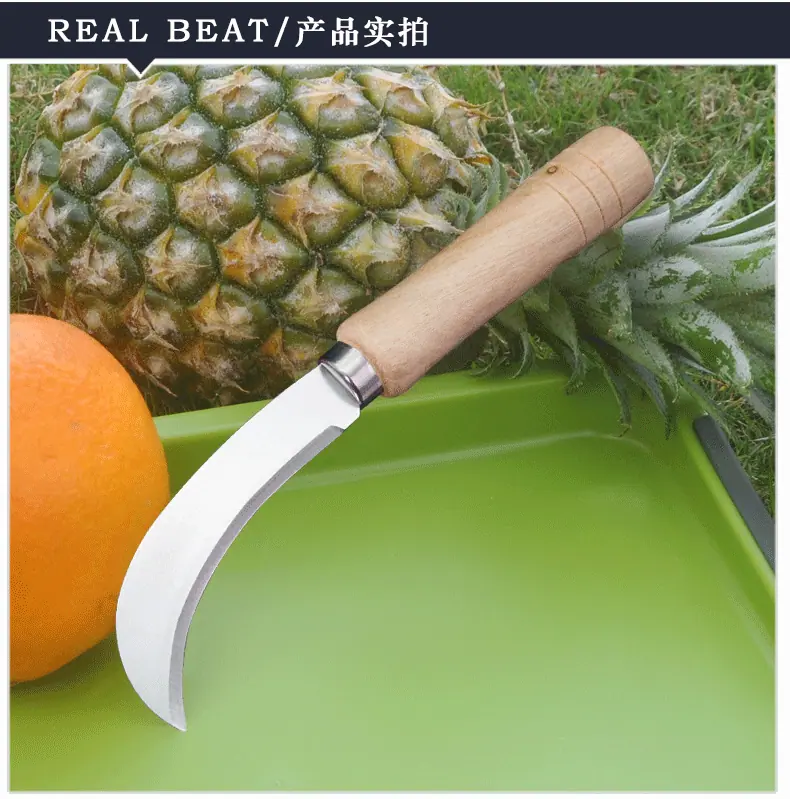 沙光小弯刀_06.gif