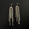 Pendientes largos europeos y americanos de borla de circón con diamantes, diseño de nicho brillante, estilo de fiesta de alta gama, pendientes de lujo ligero para mujer