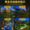 Lâmpada de Vaga-lume para Exterior Dinâmica à Prova d'Água Cor Total Árvore Fotográfica Parque Área Cênica Iluminação para Viagem Cultural Gipsófila Lâmpada de Projeção a Laser