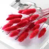 Ins Buquê Flor Decoração de Casa Sala de Estar Enfeites Galhos Secos Arranjo de Flores Capim Rabo de Coelho Capim Rabo de Cachorro Flor Seca Flor Artificial