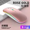 Ratón inalámbrico transfronterizo, ratón inalámbrico Bluetooth de modo dual, 2.4G, recargable, luminoso, silencioso, personalizable para portátiles
