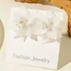 Moda Transfronteriza Europea y Americana Estilo Coreano Dopamina Fresco y Dulce Pendientes de Flor Estéreo de Resina para Mujer